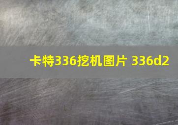 卡特336挖机图片 336d2